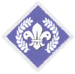 Chief Scout's Diamond Award