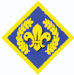 Chief Scout's Platinum Award