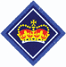 QSA Badge